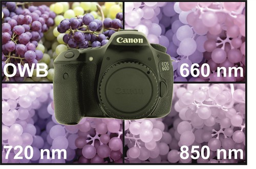 Canon eos 60d - canon,